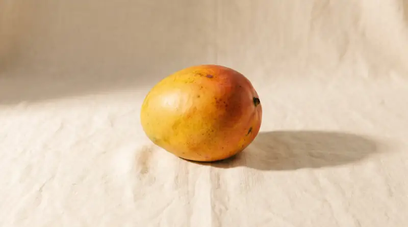 Sade krem fon önünde iri mango; bebeğin bu haftaki yaklaşık boyutu.